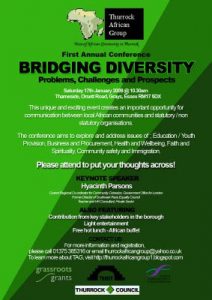 Read more about the article Bridging Diversity Conference